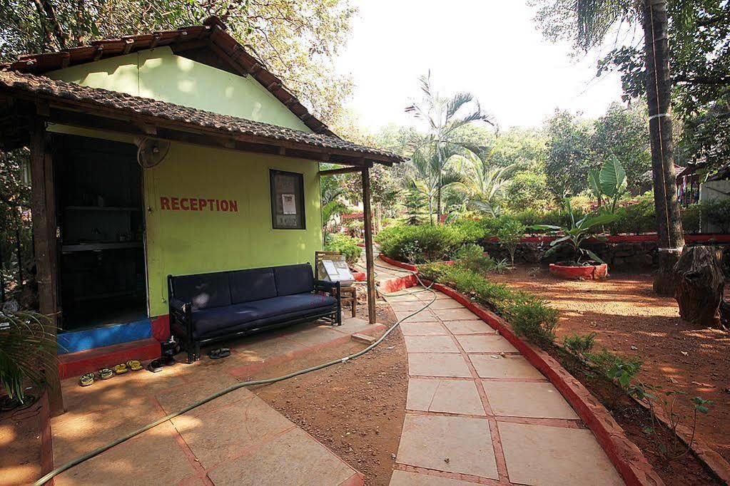 Curlies Zulu Land Hostel Anjuna Exterior photo